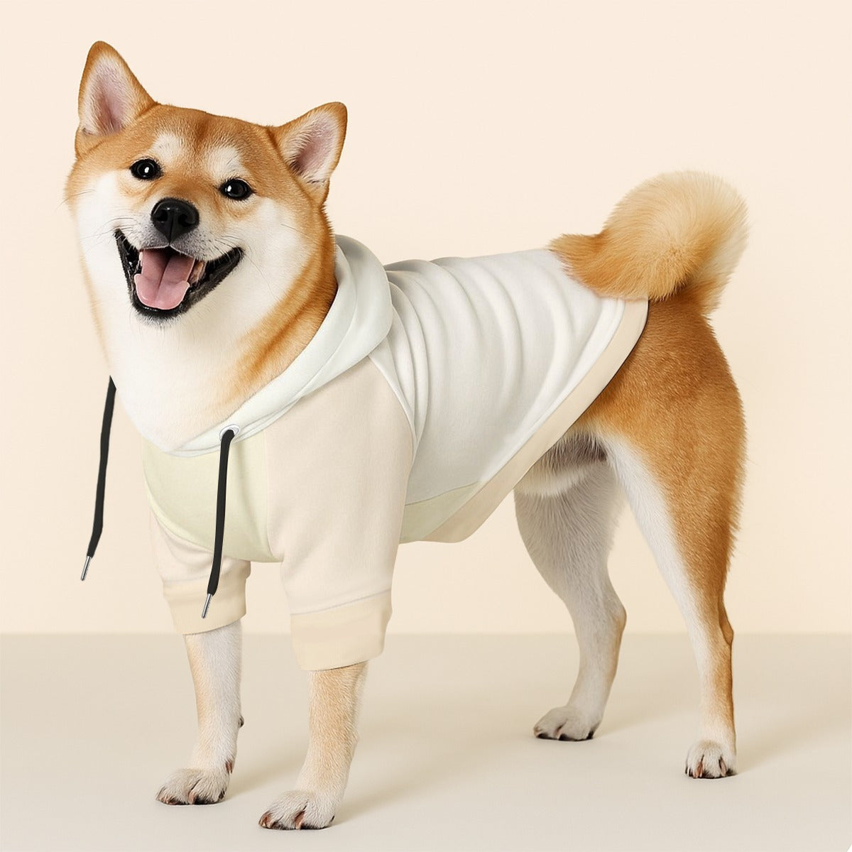 Leo - Dog hoodie
