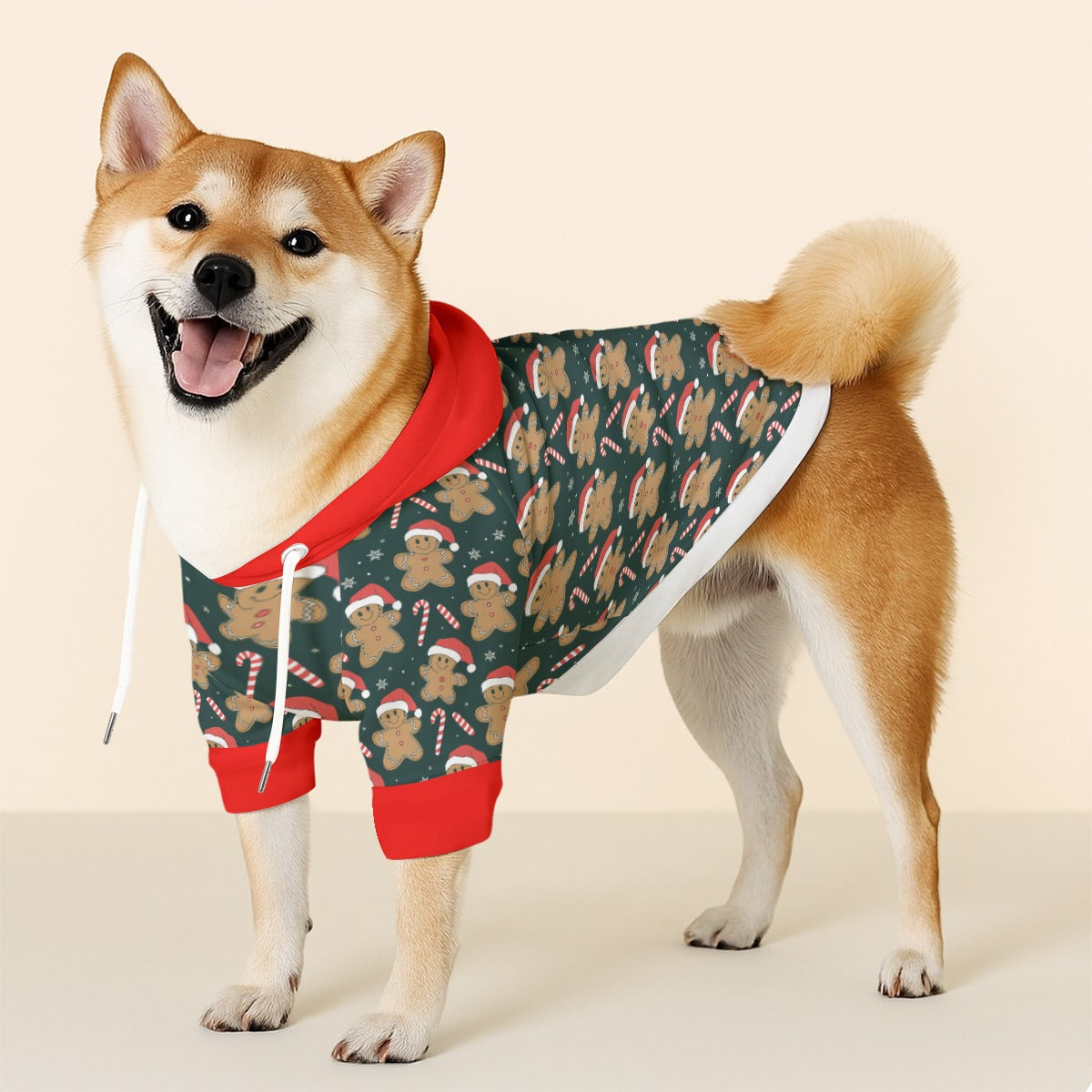 Chandler - Dog hoodie