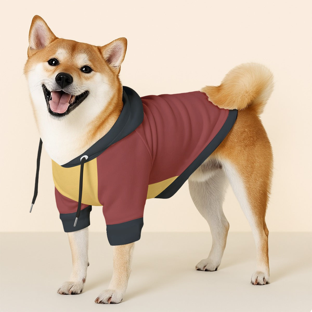 Loki - Dog hoodie