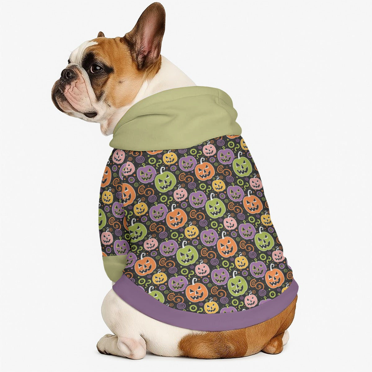Beau - Dog hoodie