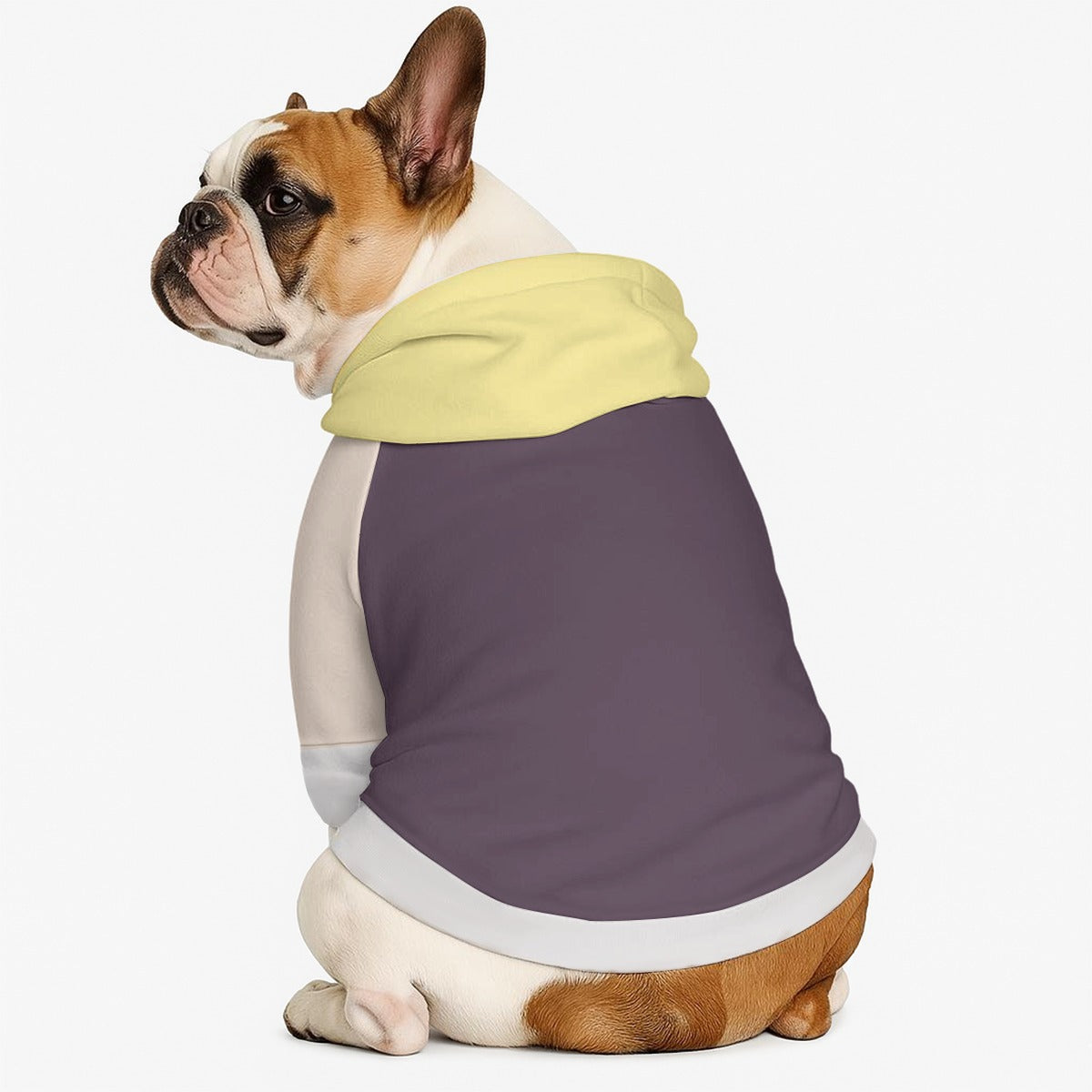 Thor - Dog hoodie