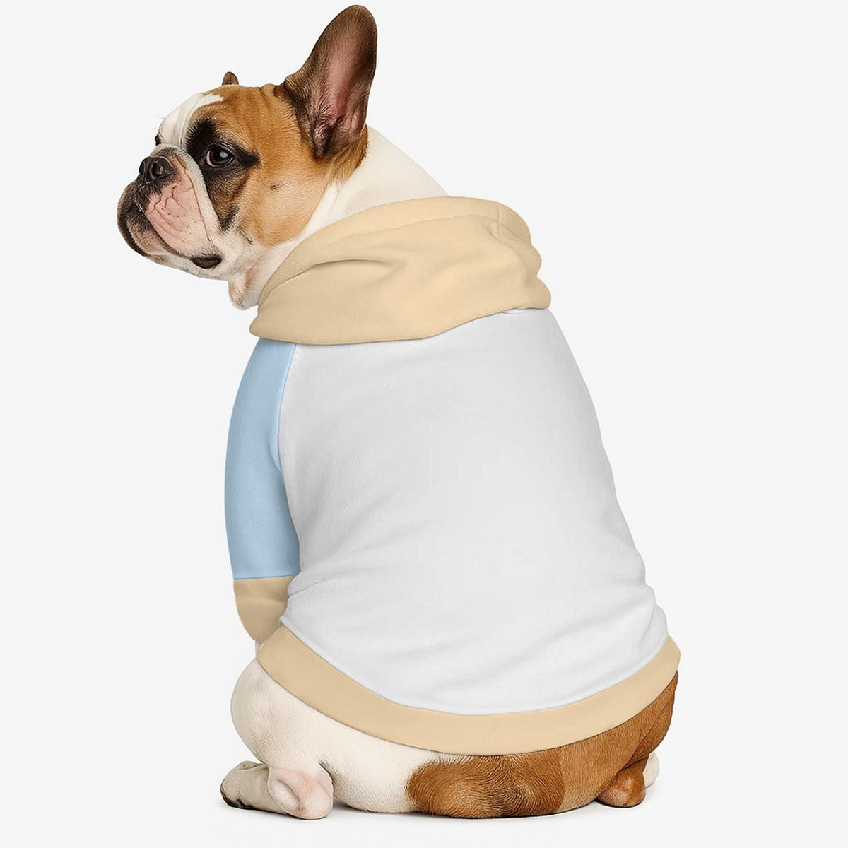 Winston - Dog hoodie