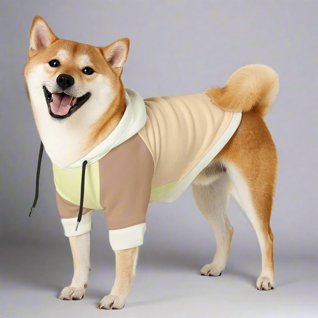 Teddy - Dog hoodie