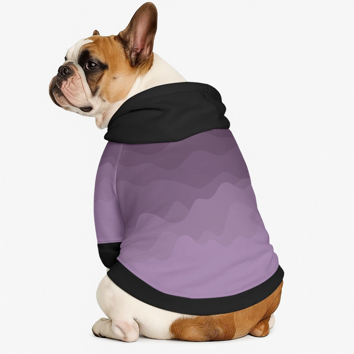 Goldie - Dog hoodie