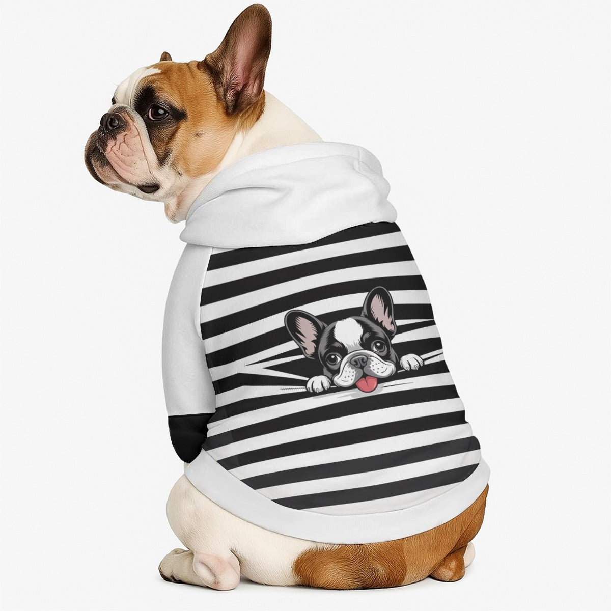 Ranger - Dog hoodie