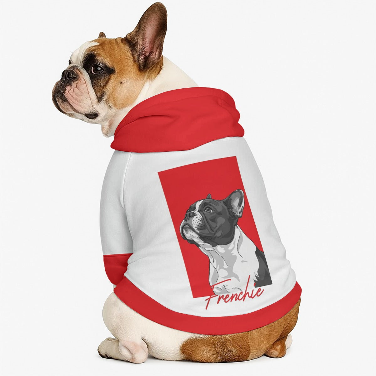 Baz - Dog hoodie