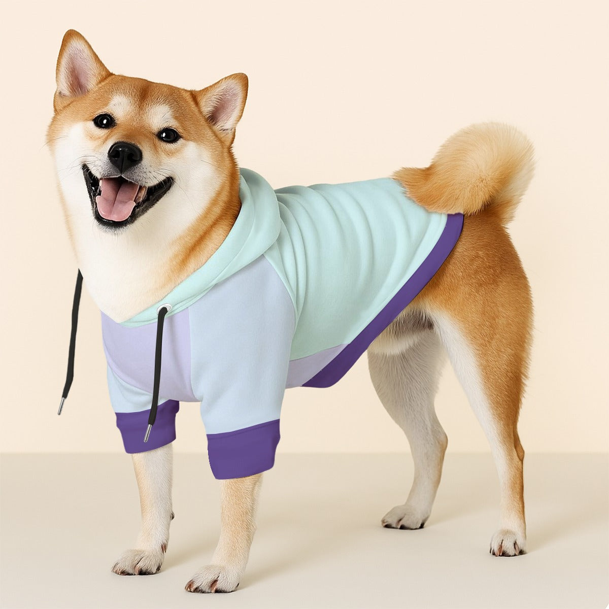 Bella - Dog hoodie