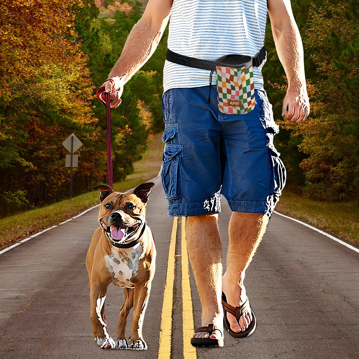 Ruby - NO-PULL Dog Harness & Leash Set | for small and large Dogs