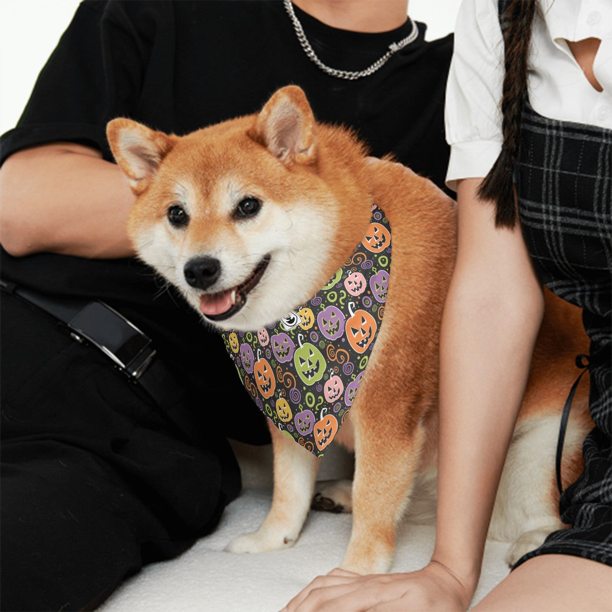 Elsa - Stylish Dog Bandana
