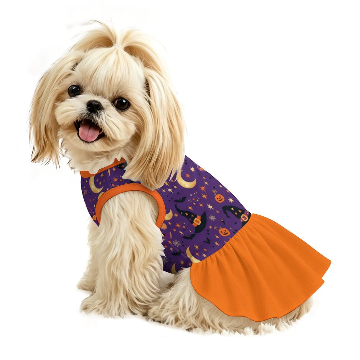 Halloween Witch Pumpkin Small Dog Ruffle Dog Dress