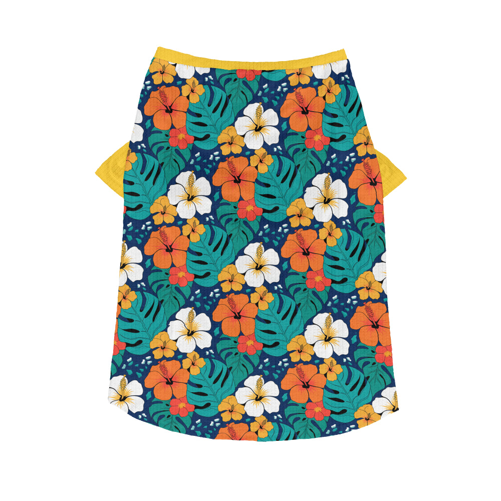 Honey - Dog Wool Sweater