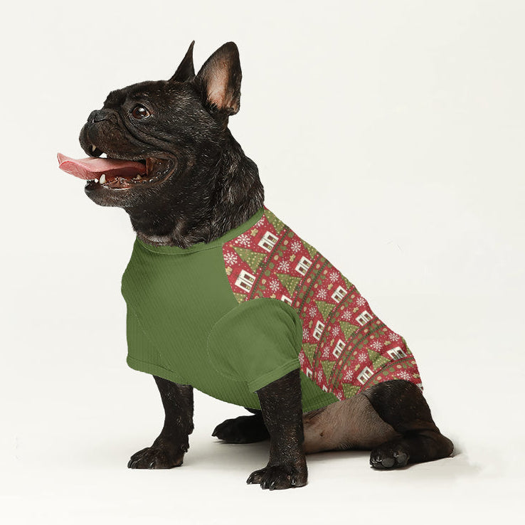 Teddy - Dog Wool Sweater