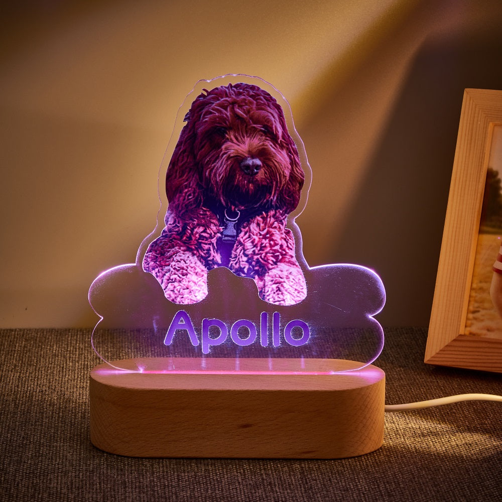 Custom Dog Night Light – Bone-Shaped Acrylic Plaque with LED Base