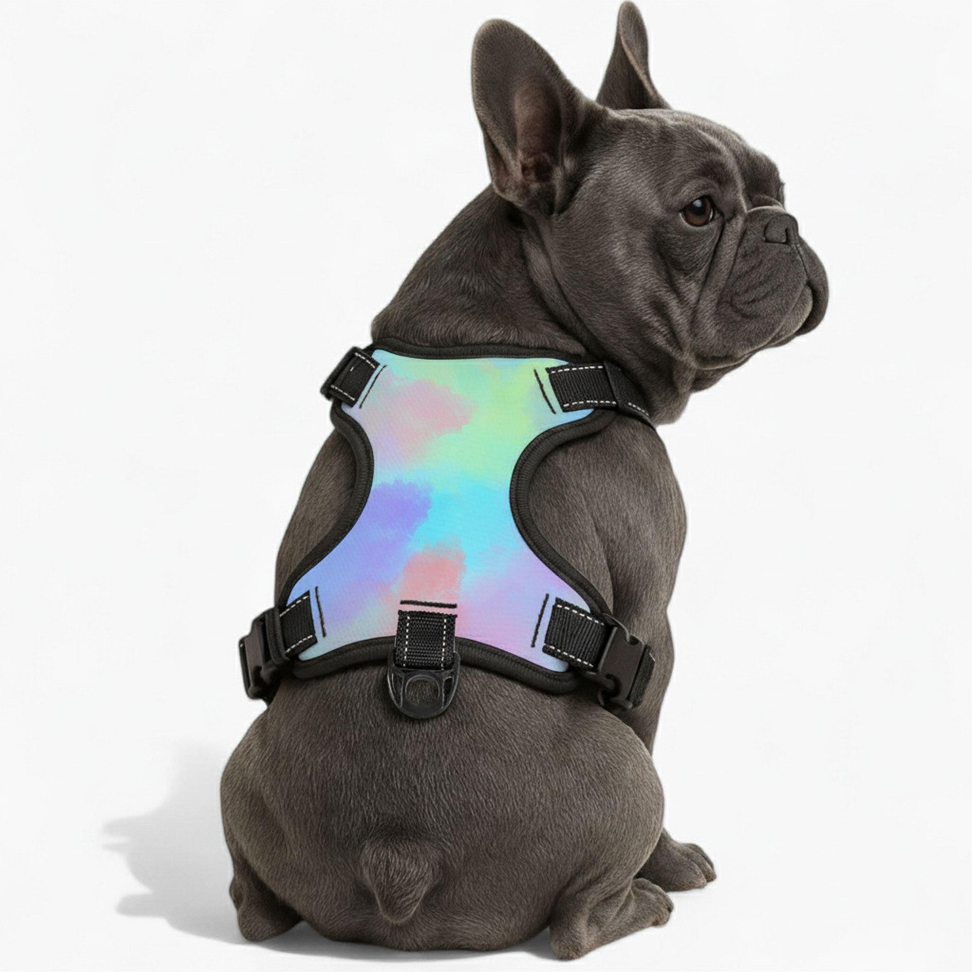 Cody - NO-PULL Dog Harness & Leash Set | for small and large Dogs