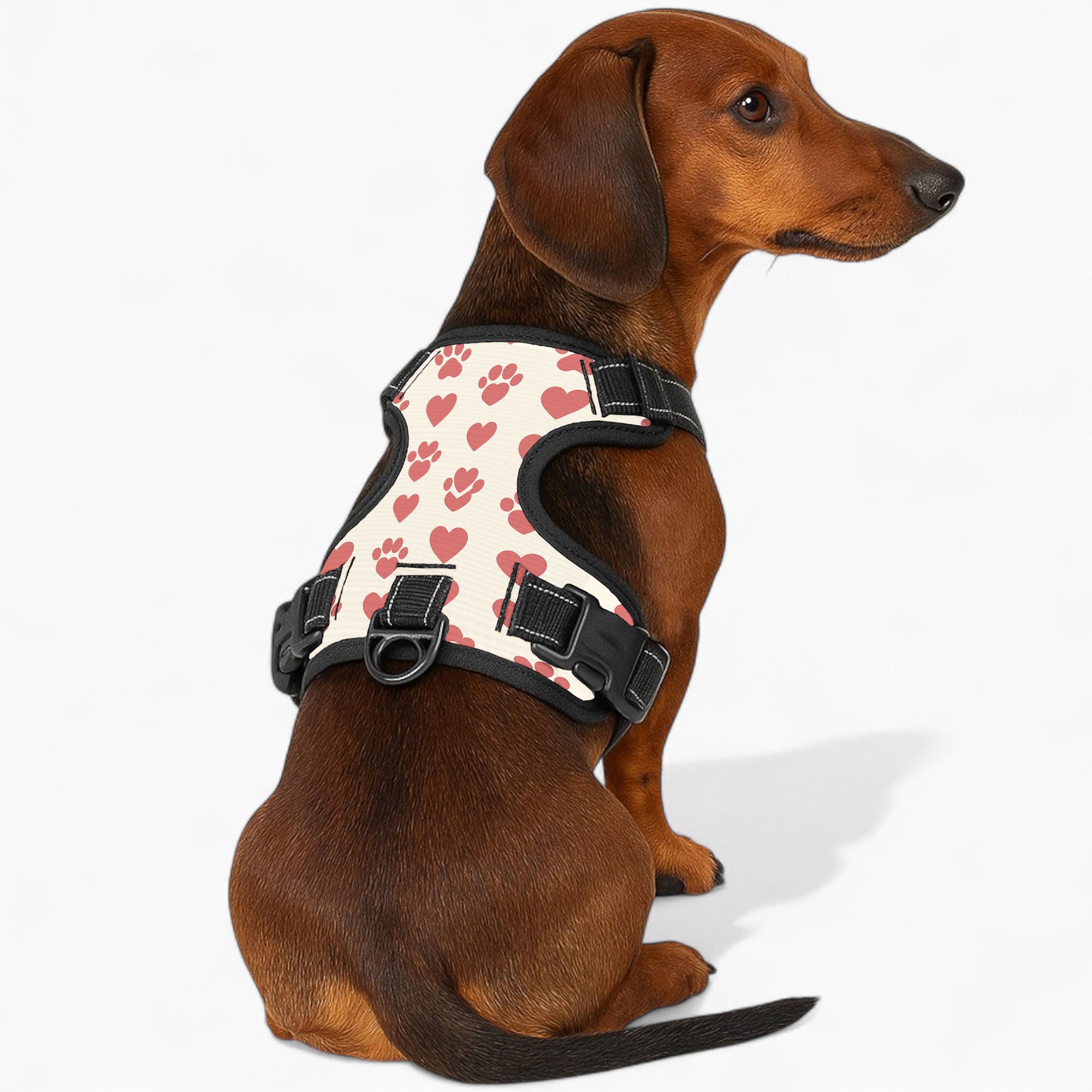 Jack  - NO-PULL Dog Harness & Leash Set | for small and large Dogs