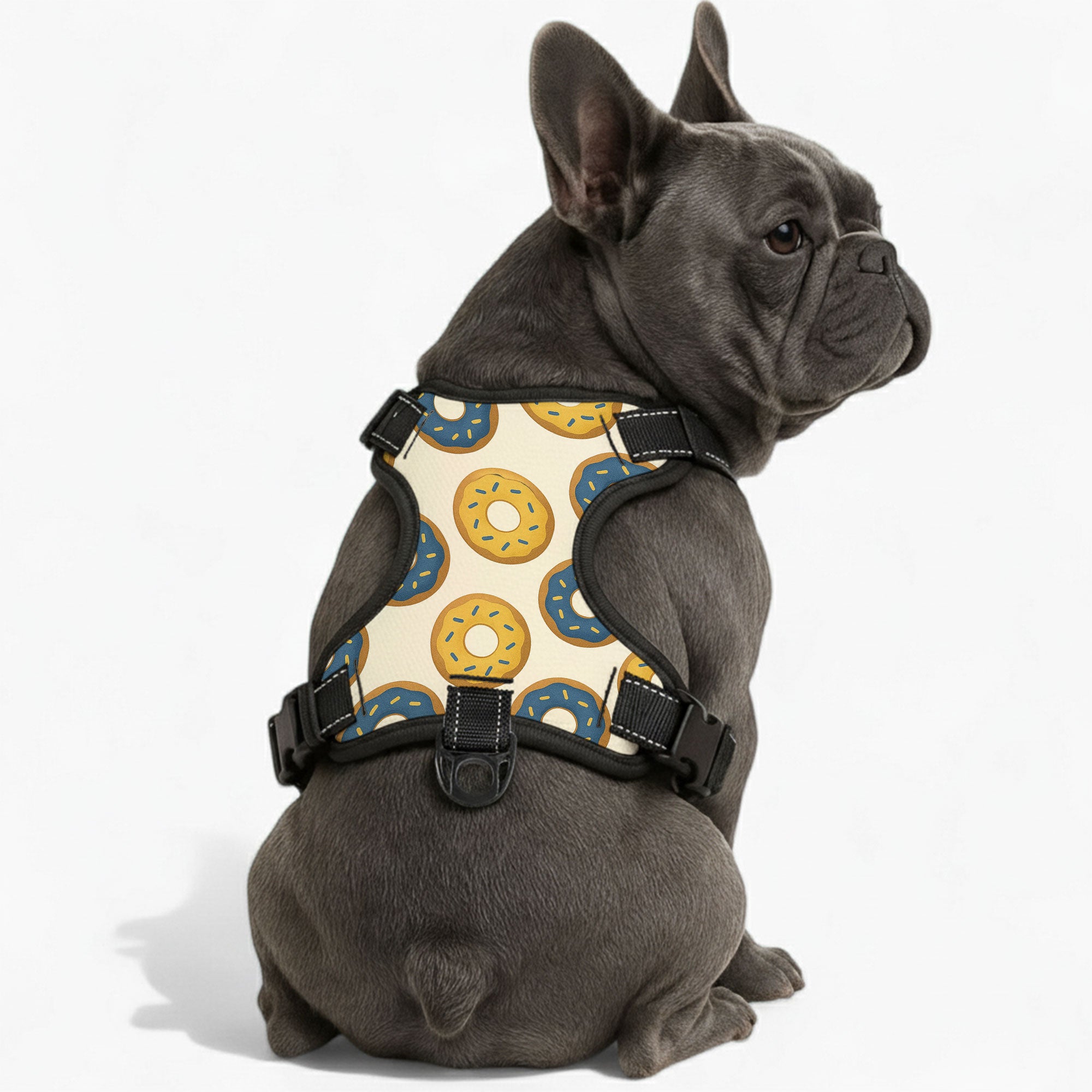 Luna - NO-PULL Dog Harness & Leash Set | for small and large Dogs