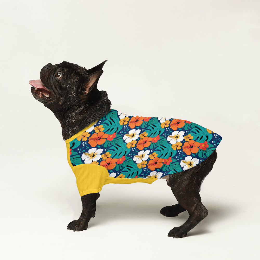 Honey - Dog Wool Sweater