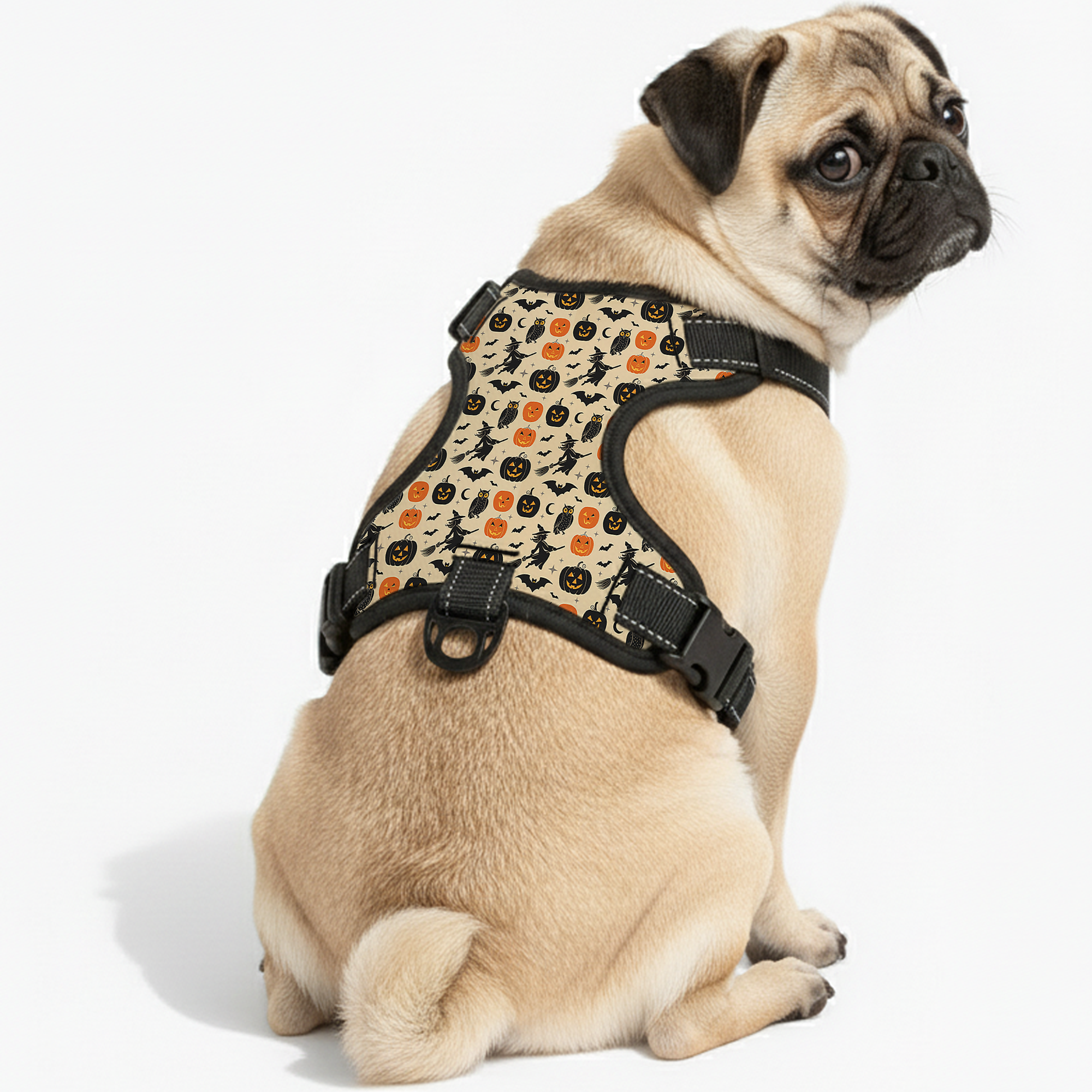 Roxy - NO-PULL Dog Harness & Leash Set | for small and large Dogs