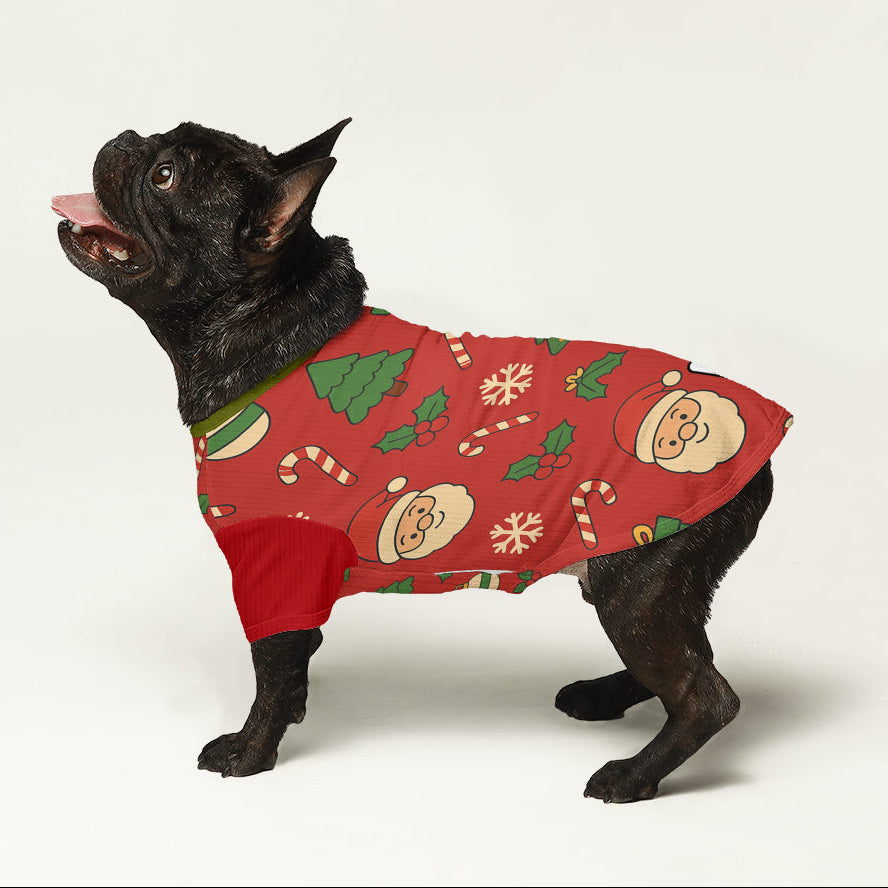 Ziggy- Dog Wool Sweater