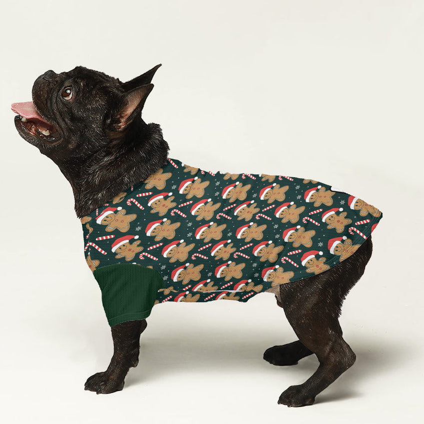 Romeo - Dog Wool Sweater