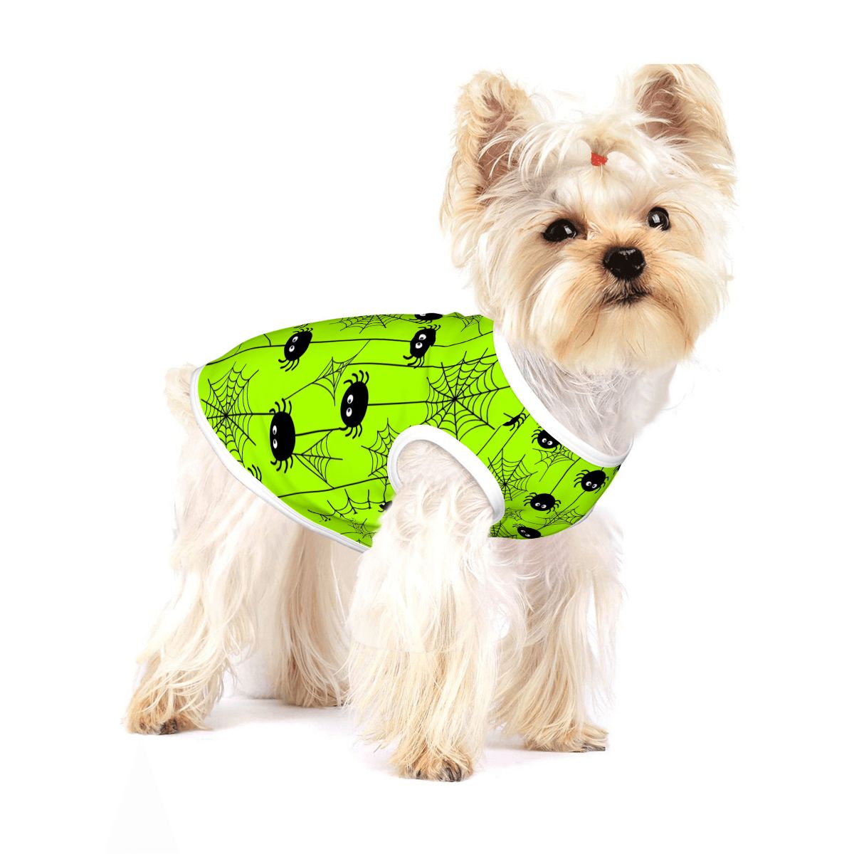 Spooky Spiders Small Dog Shirt