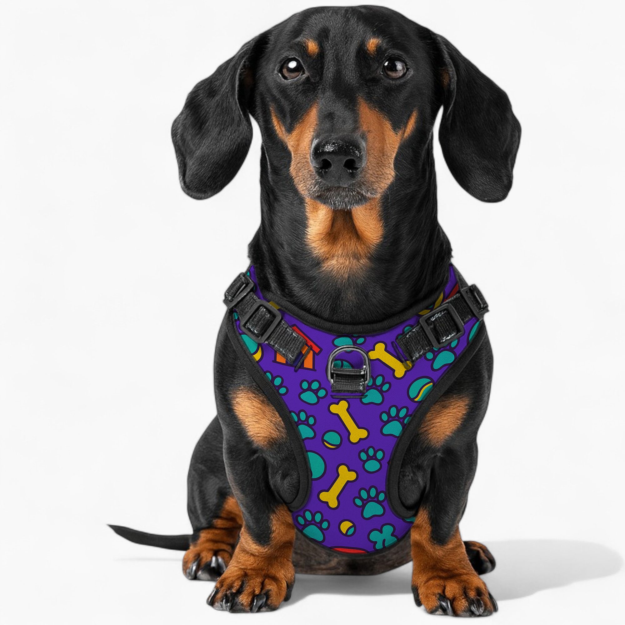 BELLA - NO-PULL Dog Harness & Leash Set | for small and large Dogs