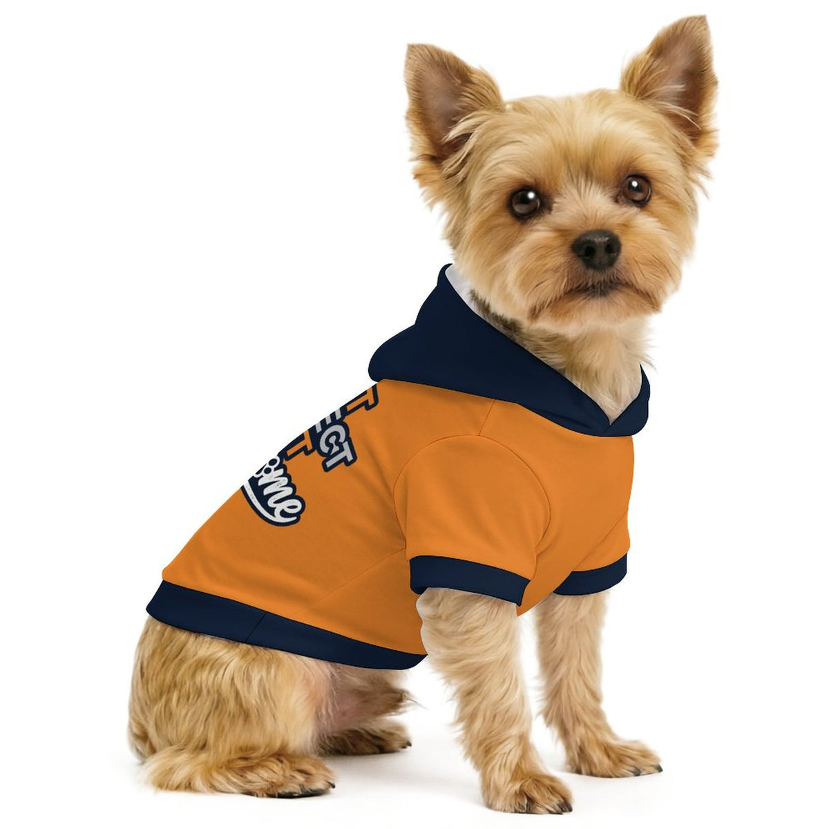 Not Perfect Just Pawsome Matching Dog Hoodie for Small and Big Dogs