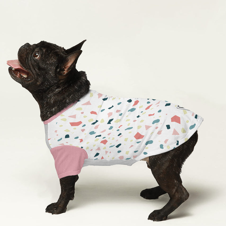 Pitcher - Dog Wool Sweater