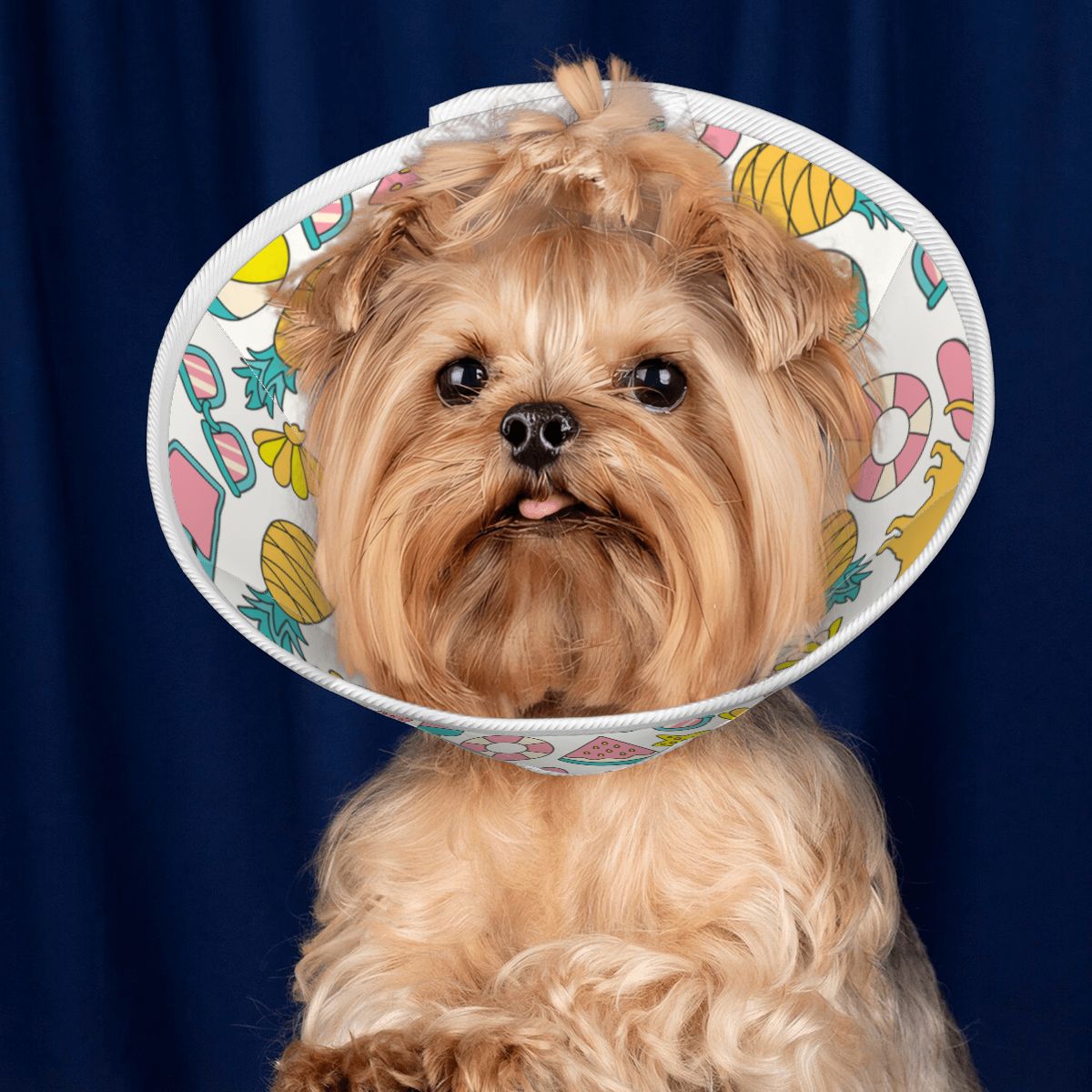 Bailey - Soft Dog Cone & Elizabethan Collar