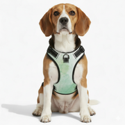 Toby - NO-PULL Dog Harness & Leash Set | for small and large Dogs