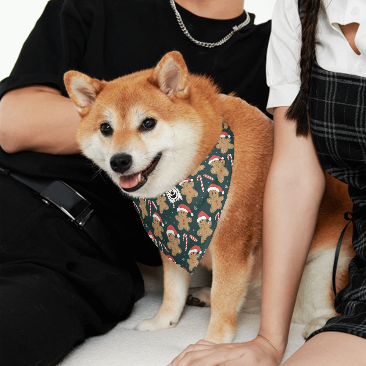 Vito - Stylish Dog Bandana