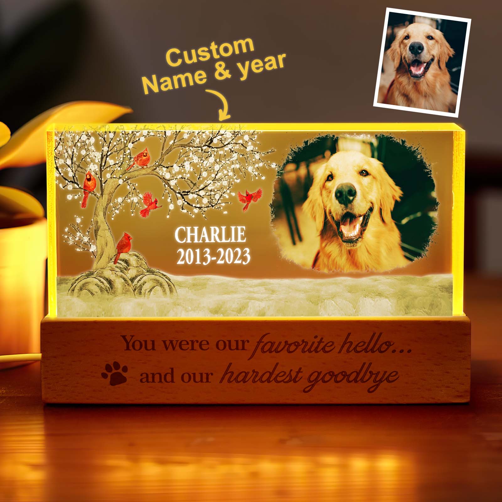 Personalized Dog Photo Night Light