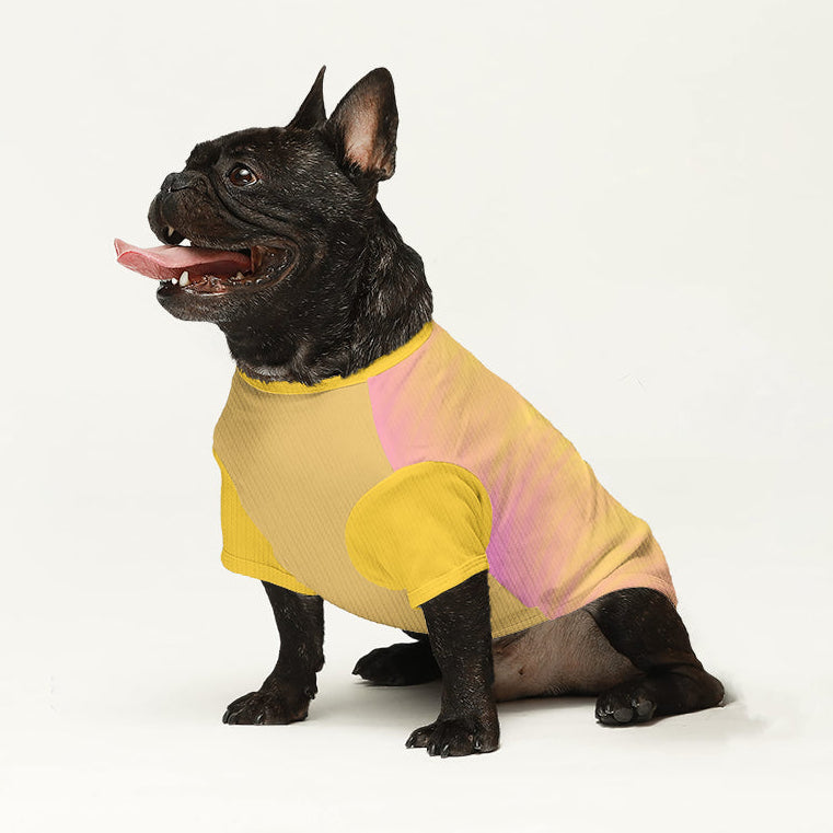 Millie - Dog Wool Sweater