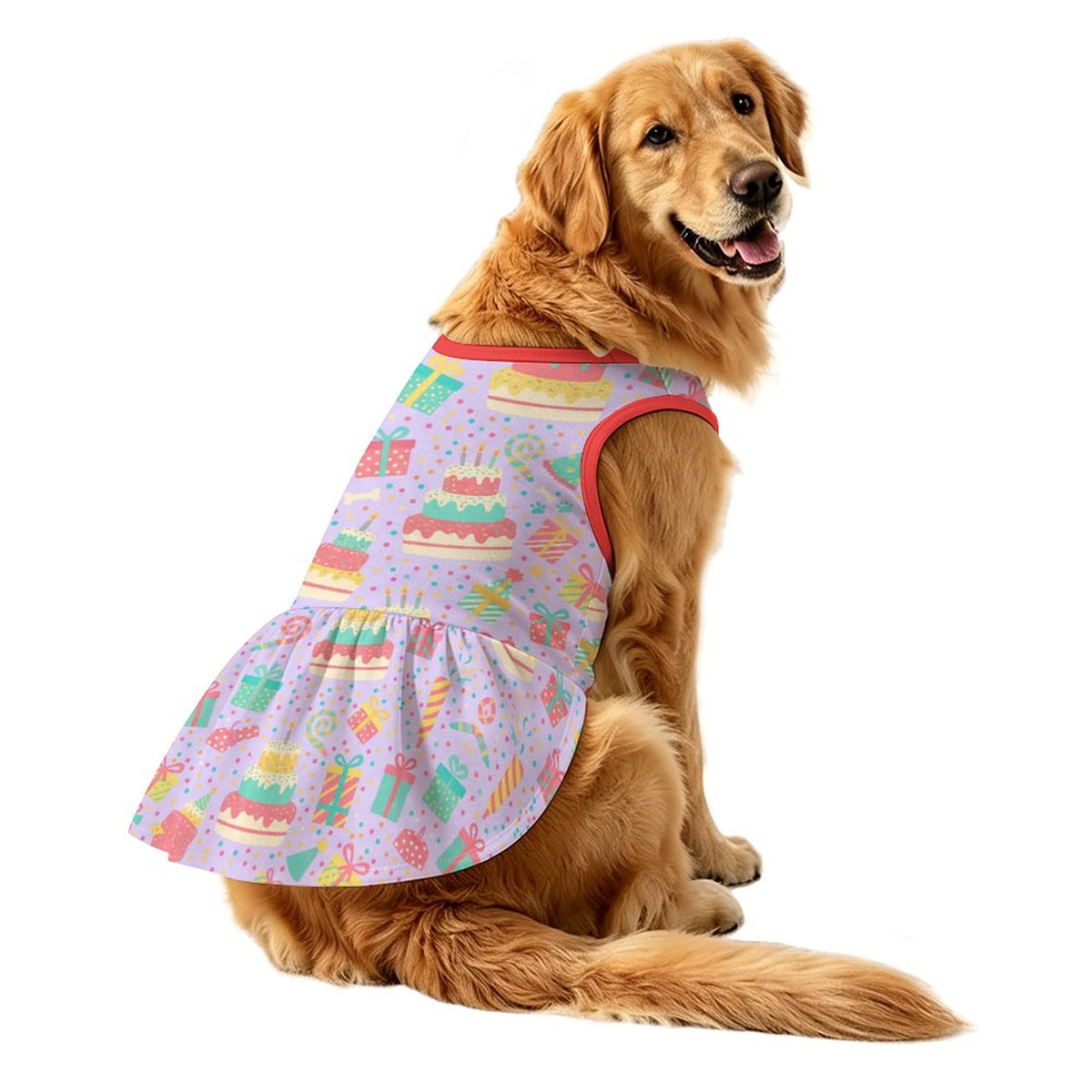 Birthday Cake Party Large Dog Ruffle Dog Dress