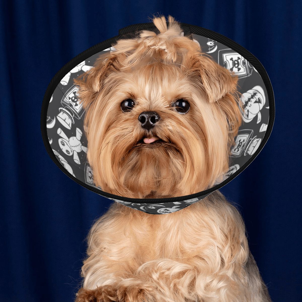 Charlie - Soft Dog Cone & Elizabethan Collar