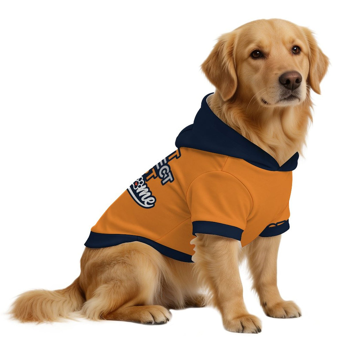 Not Perfect Just Pawsome Matching Dog Hoodie for Small and Big Dogs