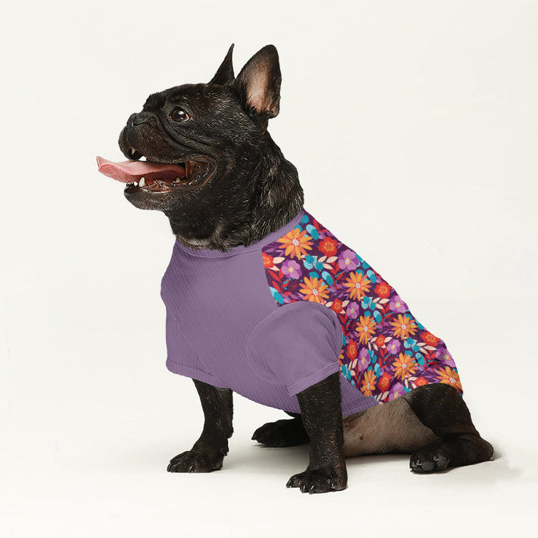 Casper - Dog Wool Sweater