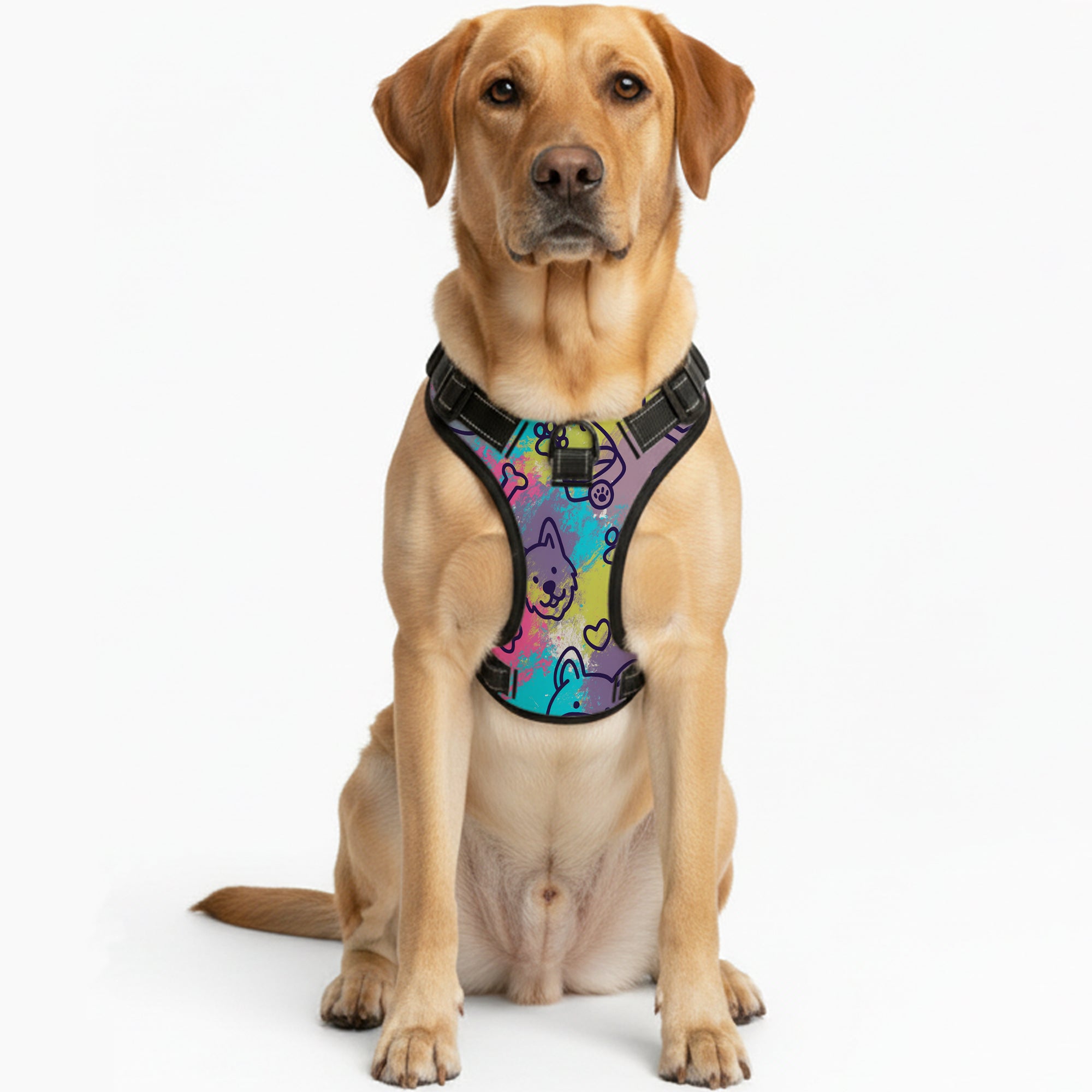 Lucy  - NO-PULL Dog Harness & Leash Set | for small and large Dogs