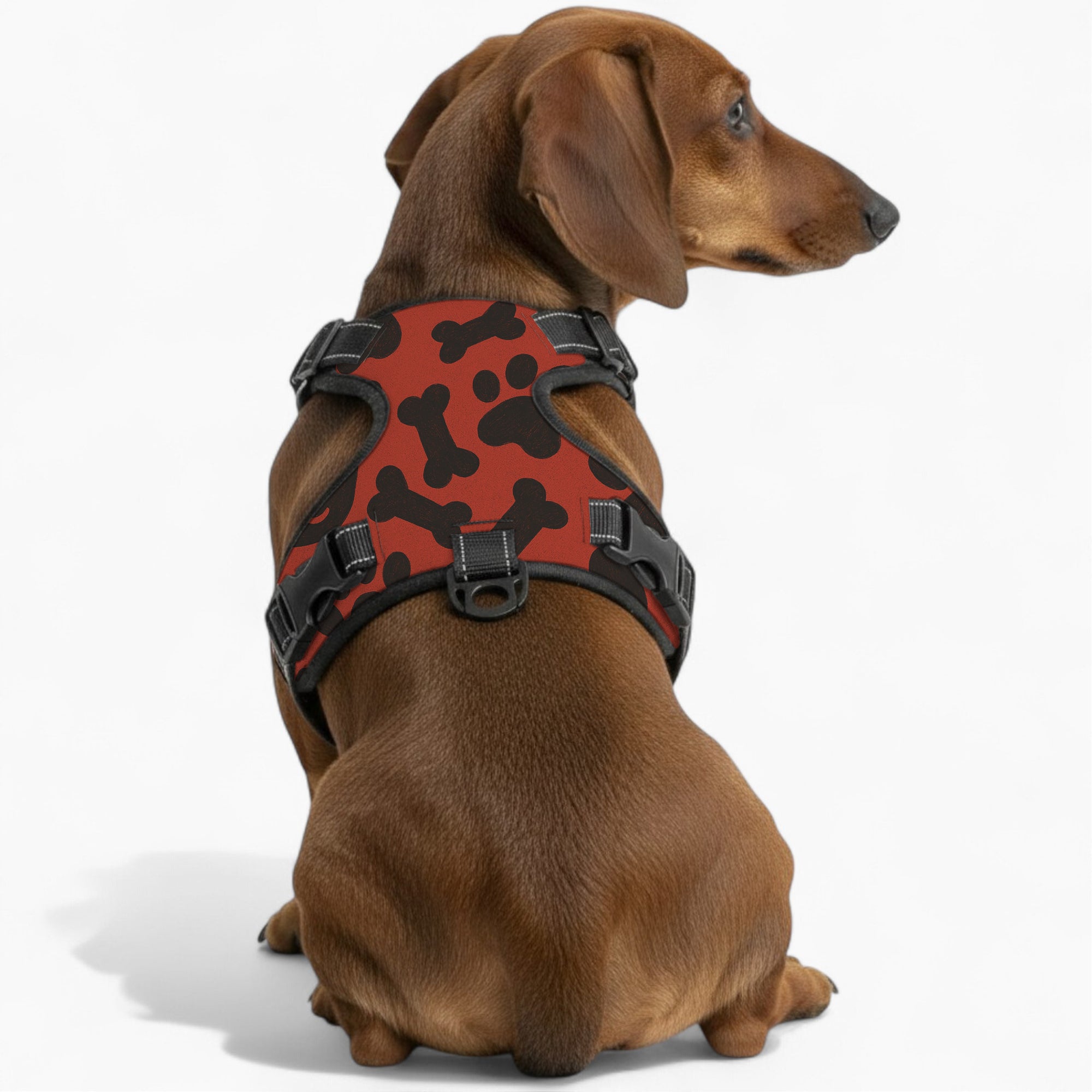 Daisy - NO-PULL Dog Harness & Leash Set | for small and large Dogs