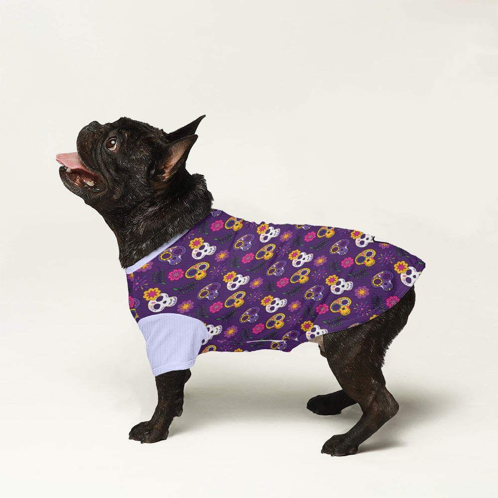 Rocco - Dog Wool Sweater