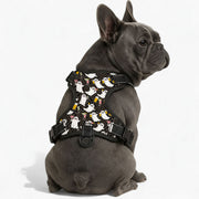 Ace  - NO-PULL Dog Harness & Leash Set | for small and large Dogs