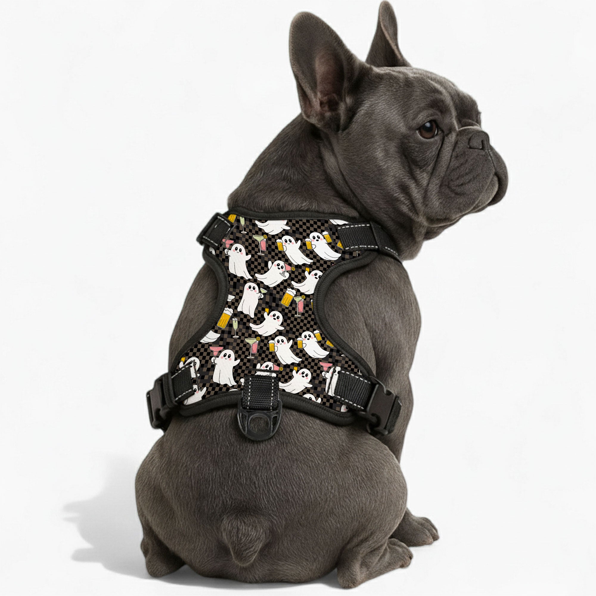 Ace  - NO-PULL Dog Harness & Leash Set | for small and large Dogs