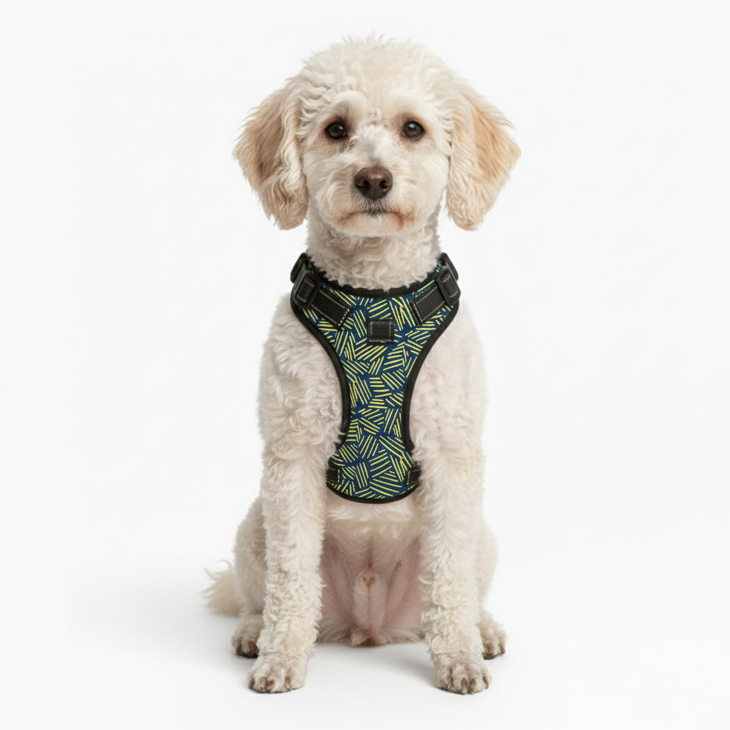 Jasper - NO-PULL Dog Harness & Leash Set | for small and large Dogs