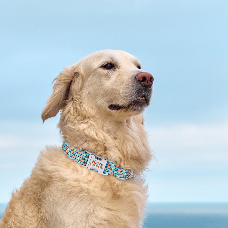 Custom Engraved Dog Collar – Personalized Pet Collar with Name & Number