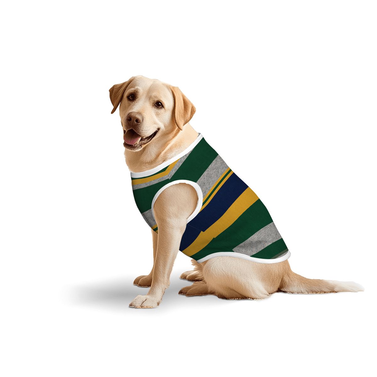 Classic Rugby Stripes Big Dog Shirt