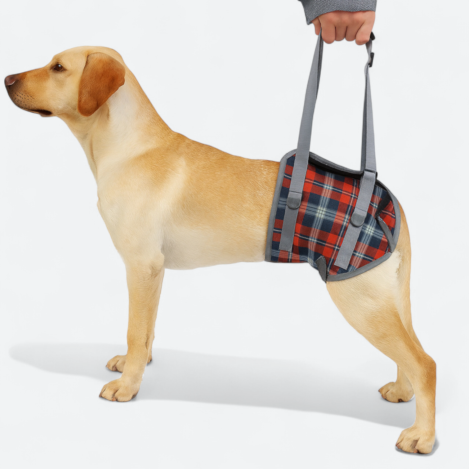 Adjustable Dog Lift Harness