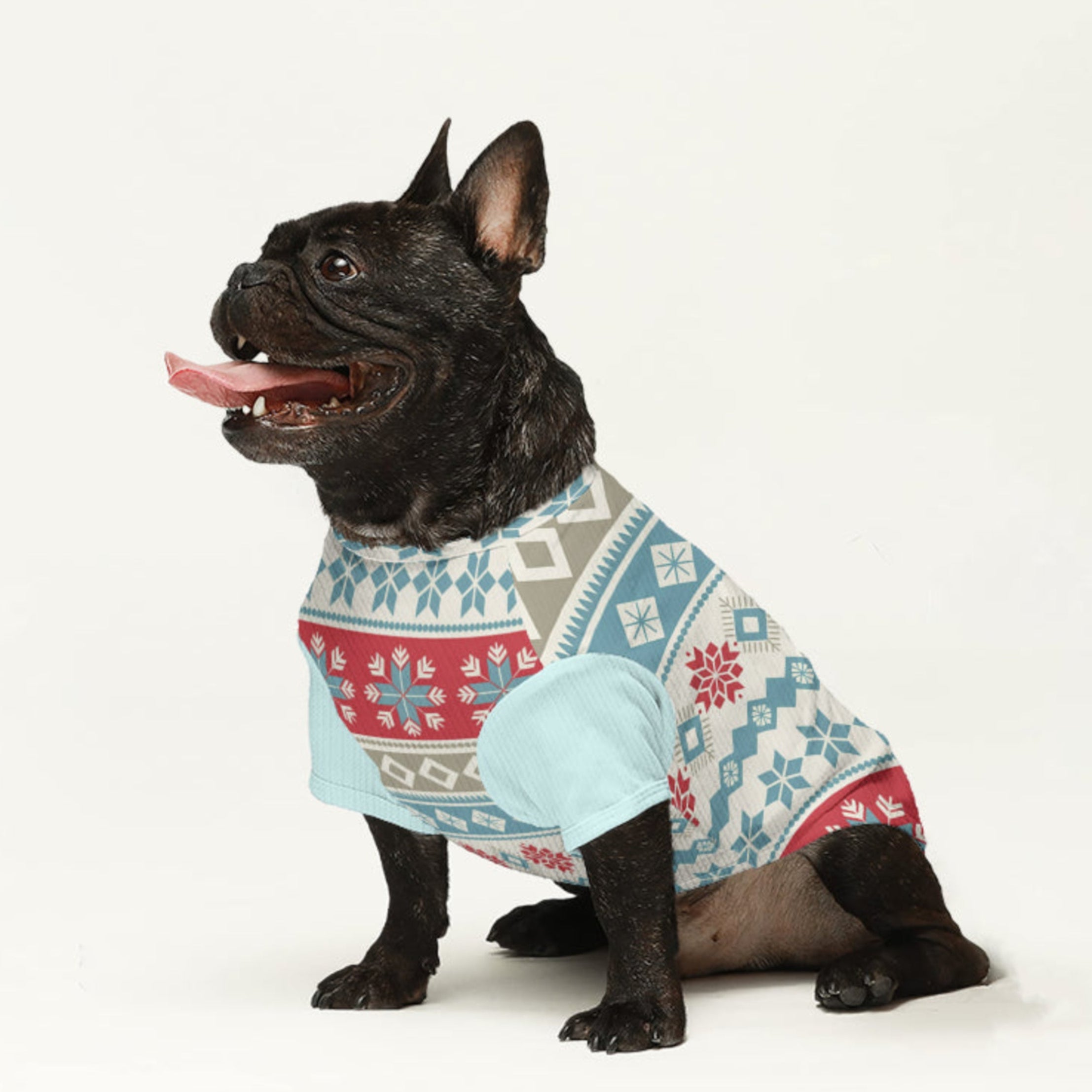 Rosy - Dog Wool Sweater