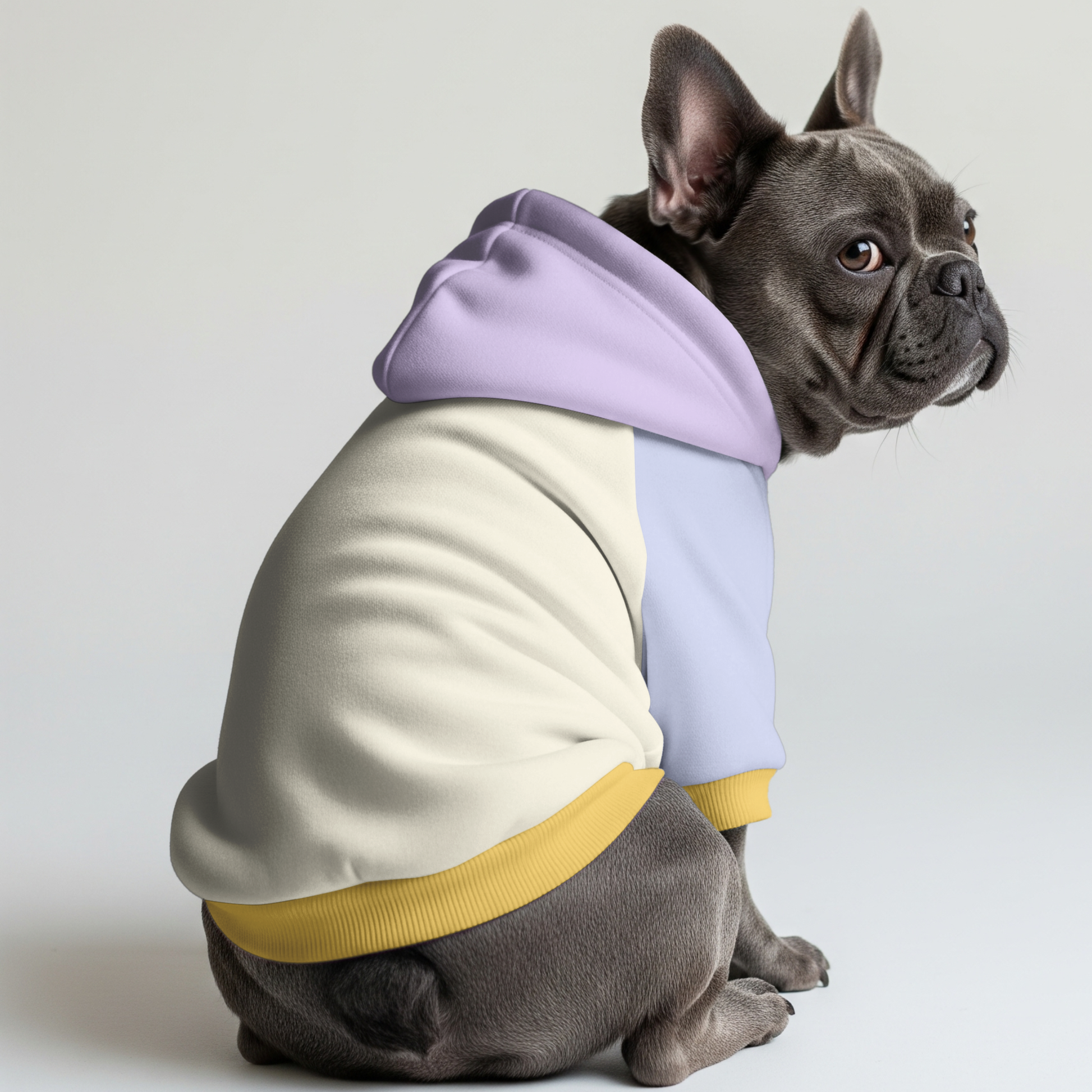'Abby' Dog hoodies
