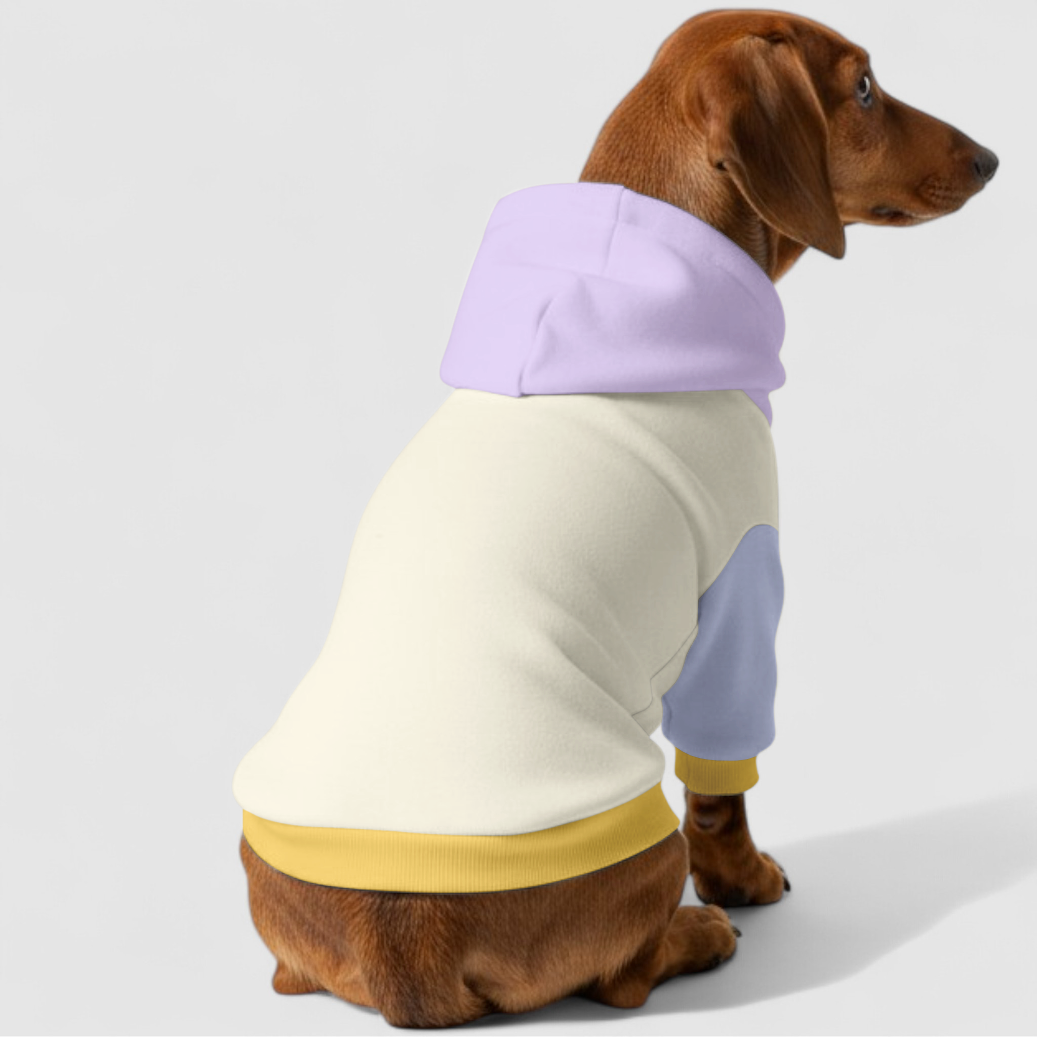 'Abby' hoodie for dogs