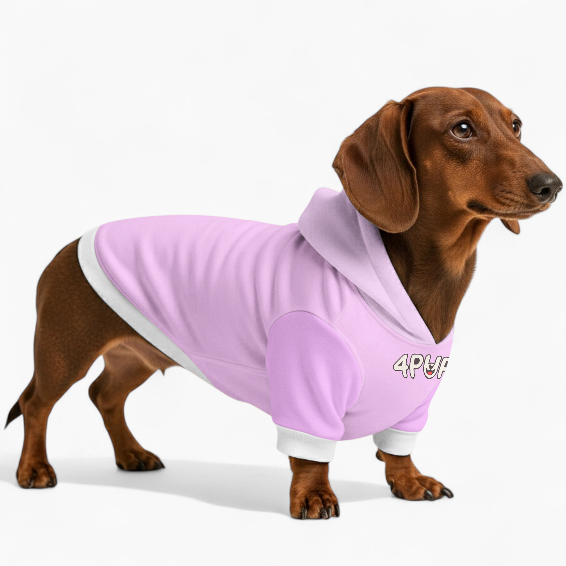 Addie' hoodies for dogs​